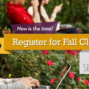 Web Banner