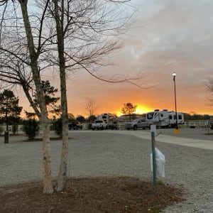 Gator Grounds RV Resort