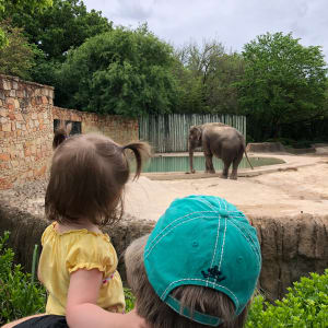 Lil meets the elephants!