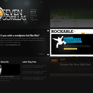 Seven Gorillas