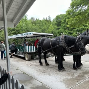 Two black horses pulling a cart with people boarding.