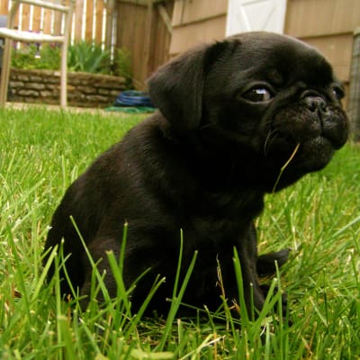 Don't give me that look...