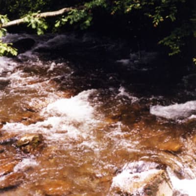 Gatlinburg