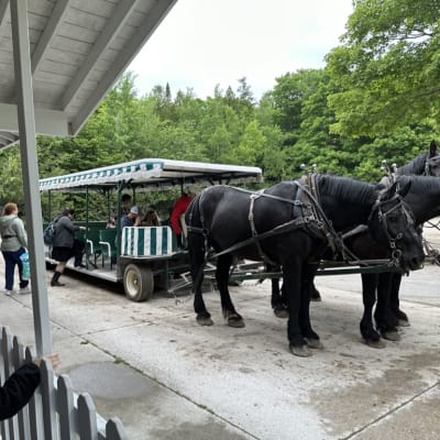 Two black horses pulling a cart with people boarding.