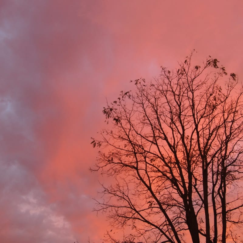 Peach Sky