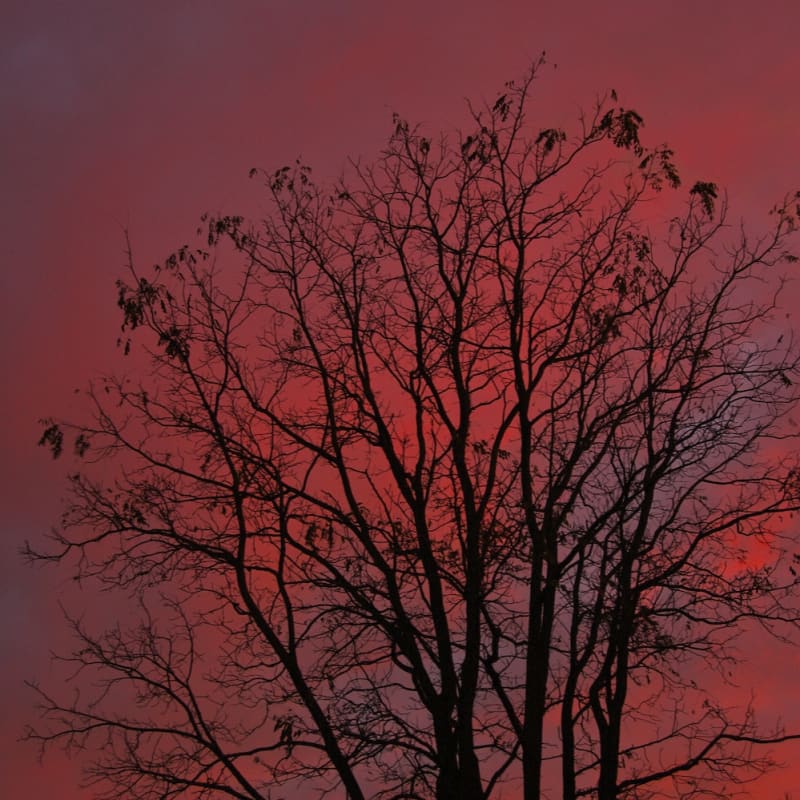 Peach Sky