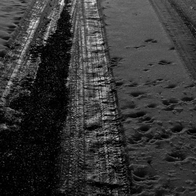 tracks