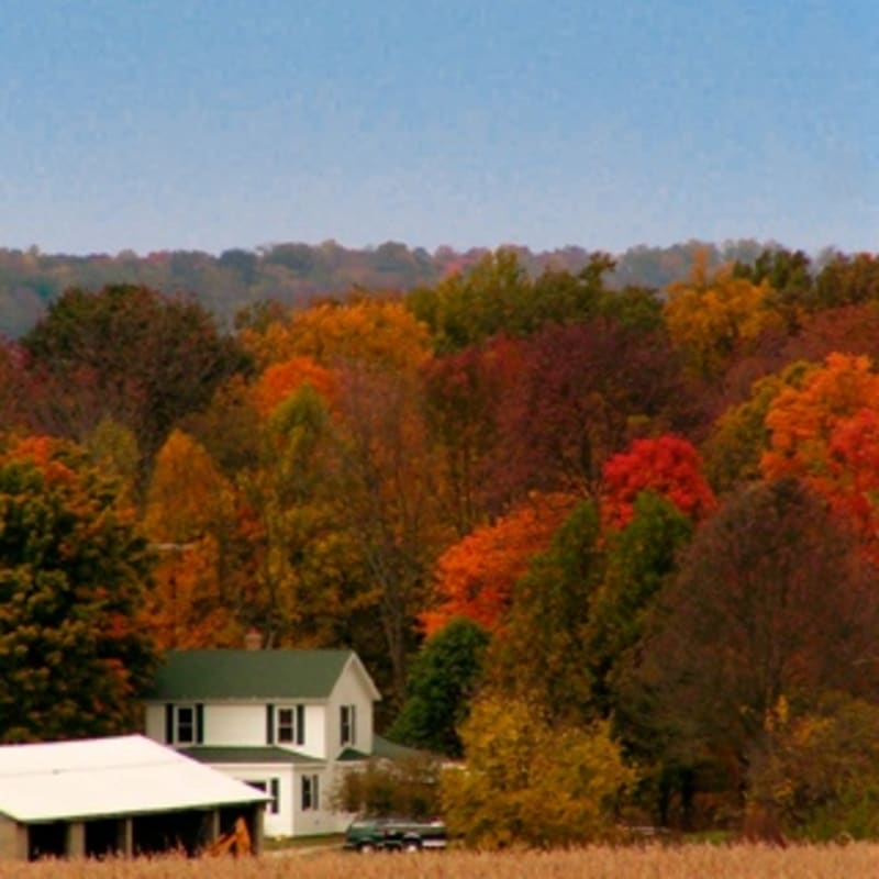 iPhone Wallpaper: Fall Country Farm