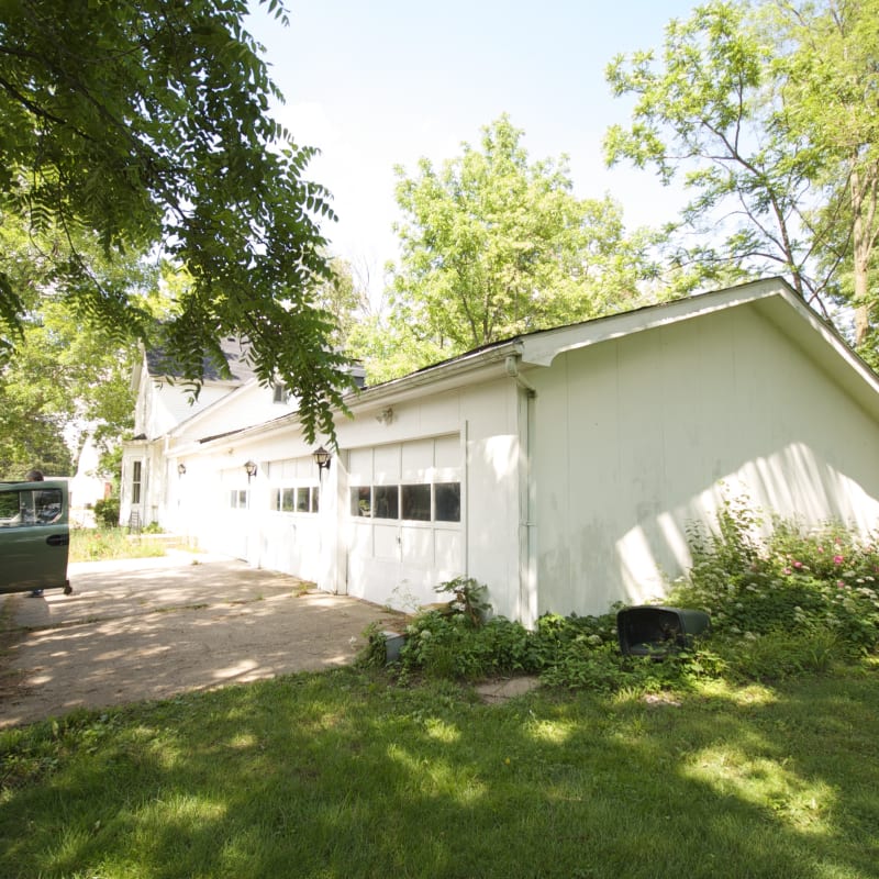 The yard when we moved in