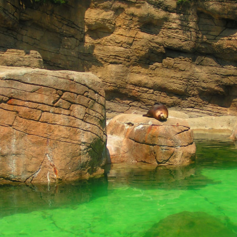 Indianapolis Zoo Photos