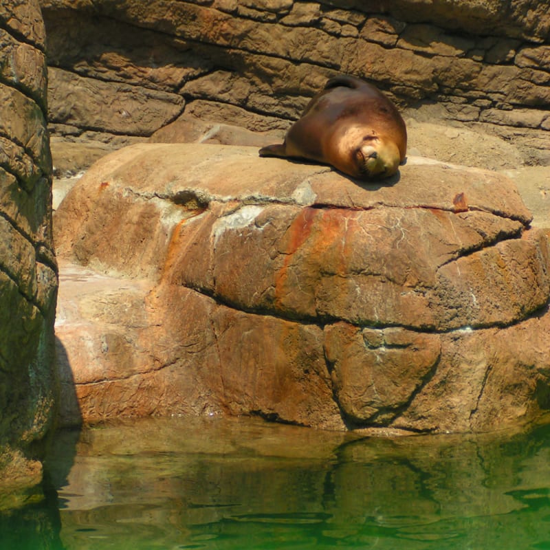 Indianapolis Zoo Photos