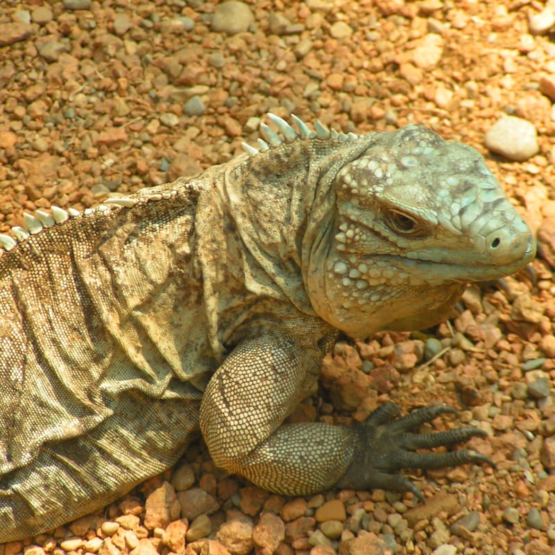 Indianapolis Zoo Photos