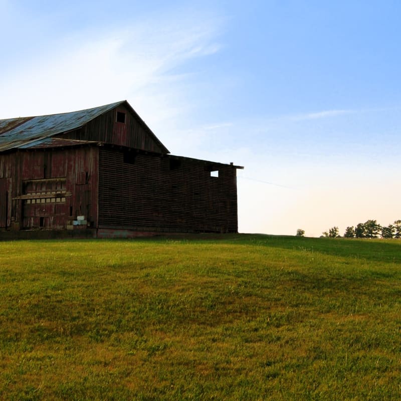 Barn