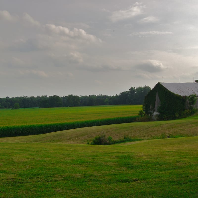 Hamilton Farm