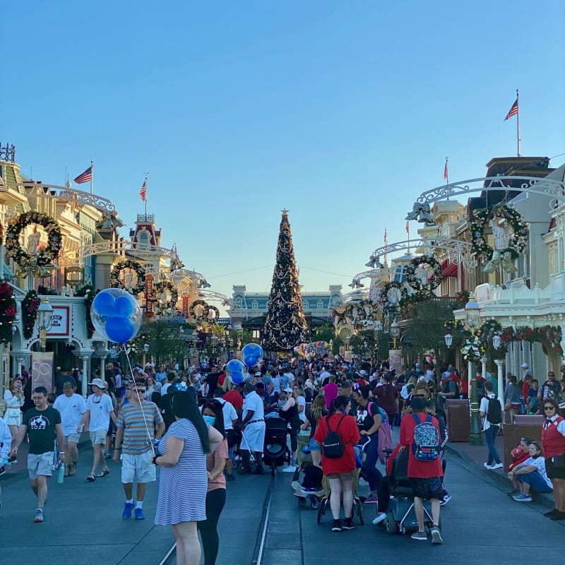 Magic Kingdom at Christmas