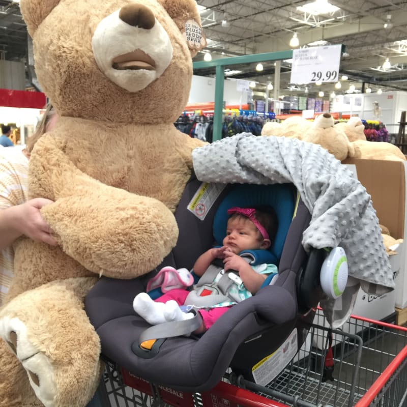 Not even close to too big