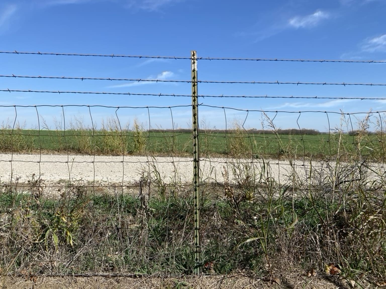 Stop 7 – Alvarado TX