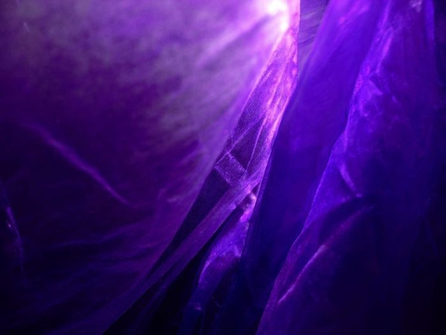 The Veil