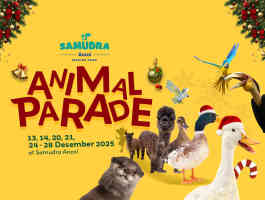 Animal Parade Samudra Ancol: Pertunjukan Satwa Seru Untuk Liburan Akhir Tahun 2025