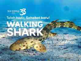 Biota Baru Di Sea World Ancol 
