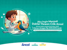 Dokter Hewan Cilik Ancol: Program Edukasi Anak Untuk Belajar Merawat Satwa Di Samudra & Bird Land