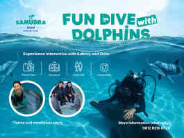 Fun Dive With Dolphins! Berinteraksi Langsung Dengan Lumba-Lumba Di Samudra Ancol!