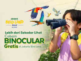 Kenal Lebih Dekat Dengan Burung Di Jakarta Bird Land Dengan Binocular! Gratis!