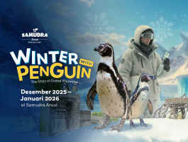 Liburan Akhir Tahun Di Samudra Ancol: Nikmati Interaksi Langsung Di Winter With Penguin