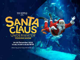 Santa Claus Underwater Feeding Show Di Sea World Ancol: Atraksi Natal Seru Untuk Liburan Akhir Tahun 2025