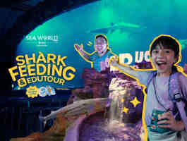 Shark Feeding & Edutour Di Sea World Ancol