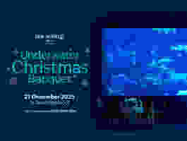 Underwater Christmas Banquet: Pengalaman Makan Malam Natal Unik Di Sea World Ancol