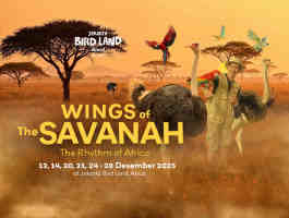 Wings Of The Savannah Jakarta Bird Land: Pertunjukan Burung Eksotis Untuk Liburan Akhir Tahun 2025
