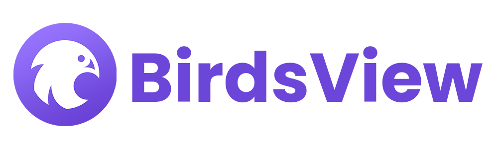 Birdsview logo
