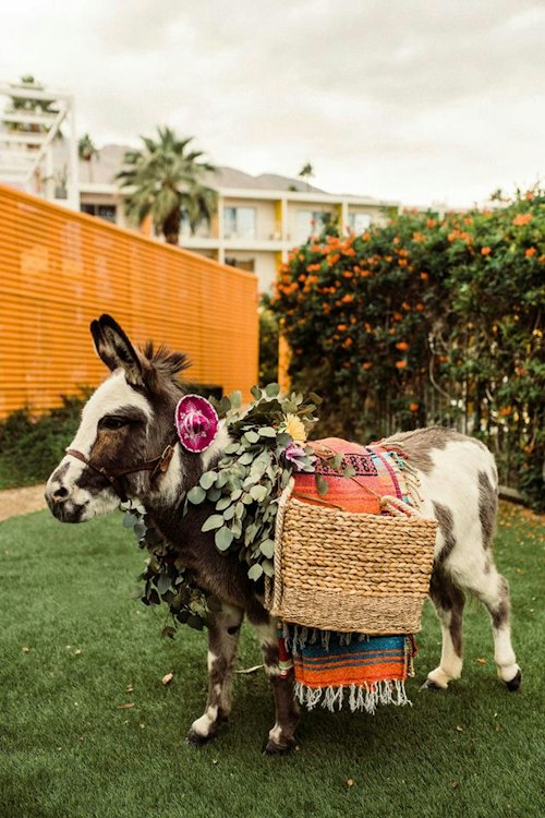 Mobile Barnyard Bonanza Petting Zoo or Cool Critters Show