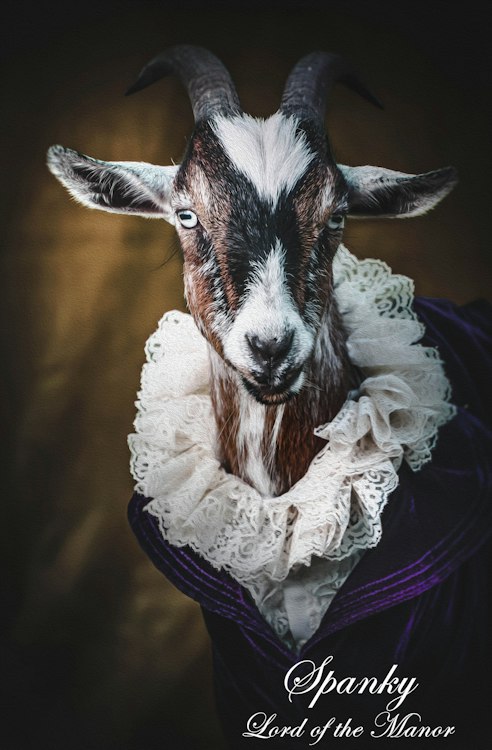 Party Goats LA