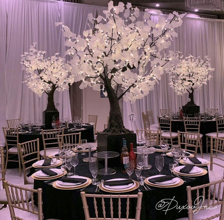 LED Tree Rental