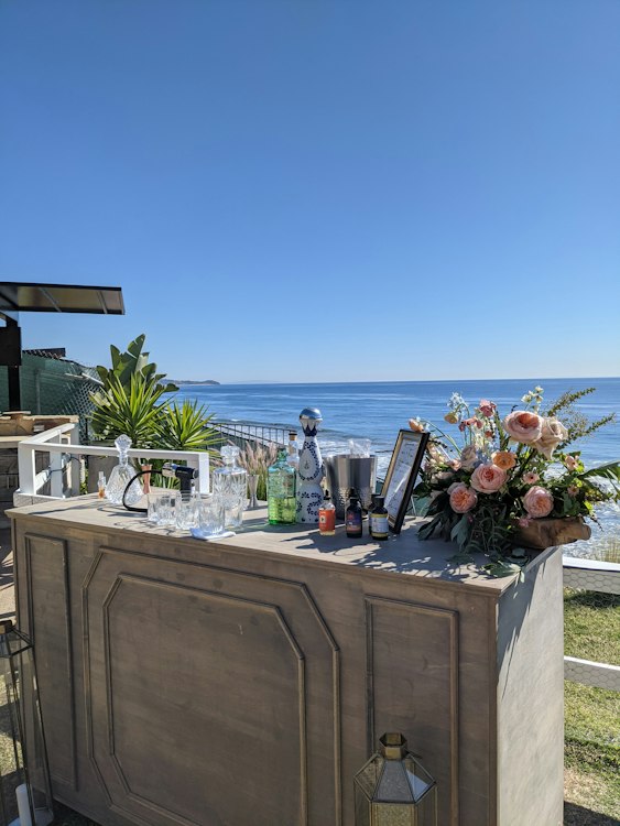 The Natural Mixologist - Custom Crafted Cocktails & Service