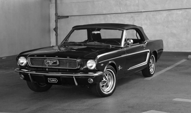Classic and Exotic Cars for Rent