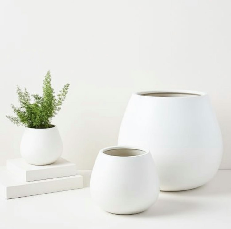 Kids Paint & Plant by Spruce Bus