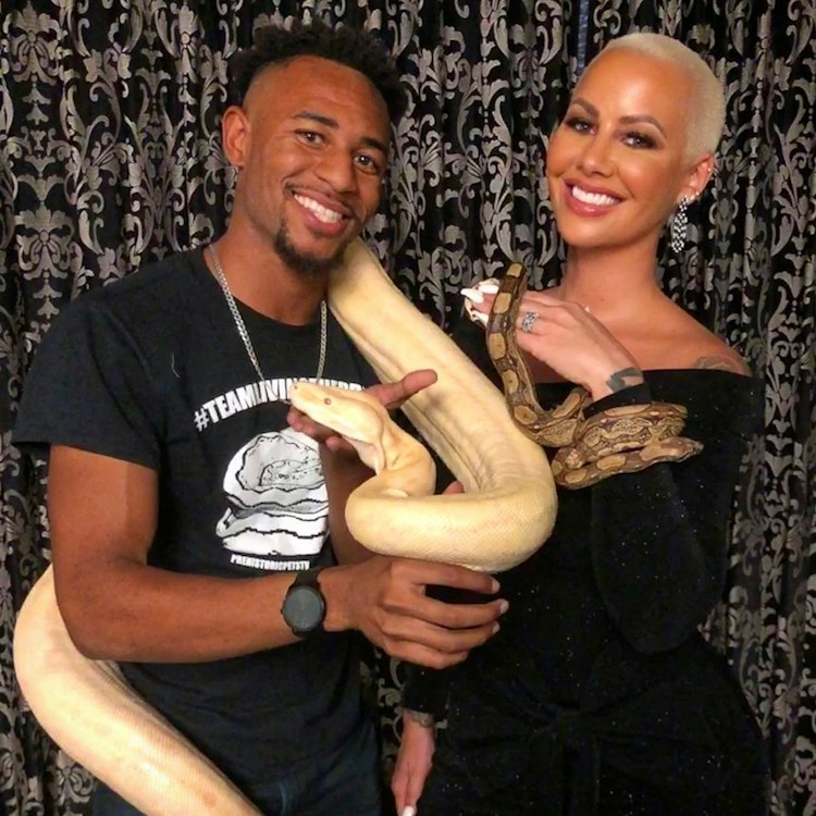 Celebrity Constrictors for your Exotic Reptile Rental needs!