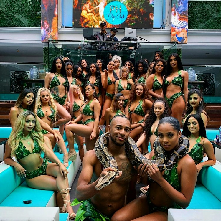 Celebrity Constrictors for your Exotic Reptile Rental needs!