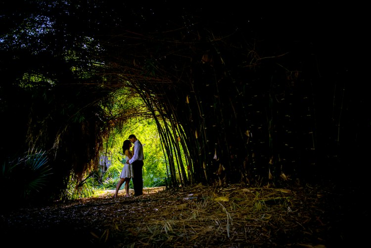 Photography and Videography