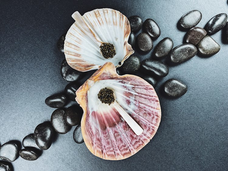 Caviar Boards and Catering - CAVIART