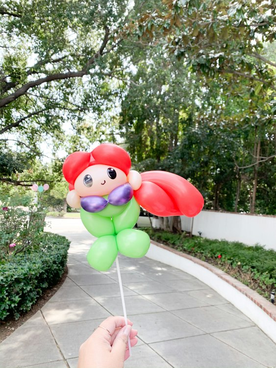 Simply Wild Art - Balloons + more