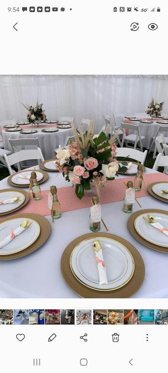 Shawna's party planning (event packages)