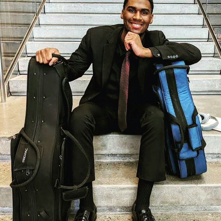 Professional Musician