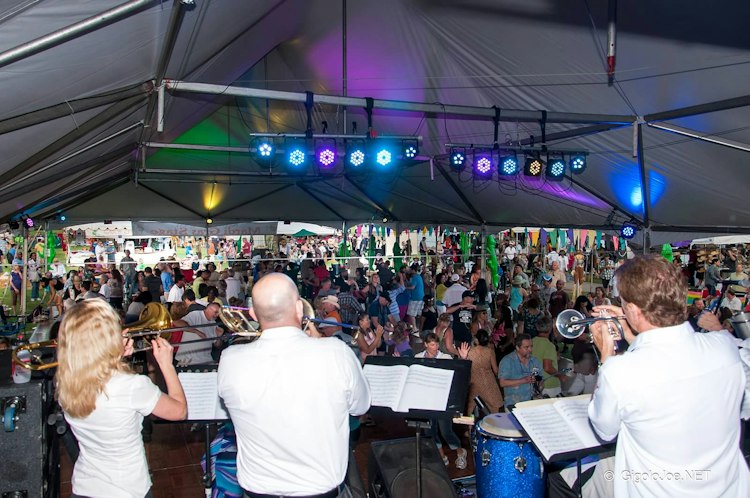 Manny Cepeda Orchestra (San Diego's #1 Salsa Band)