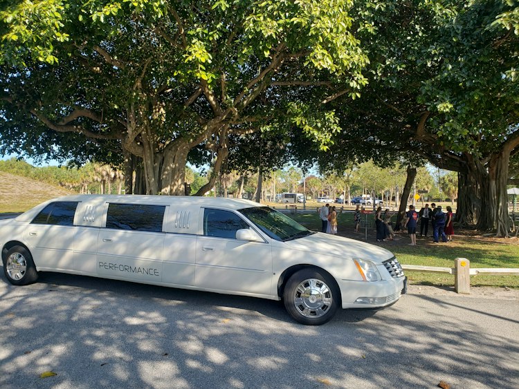 Performance Limousine LLC