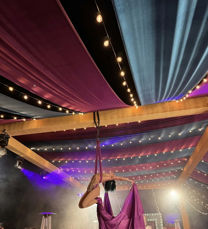 Aerial & Circus Entertainment