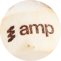 Brand Product Launch